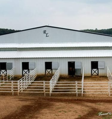 Lancaster Ranch - Turnout