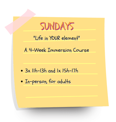 An immersion course of the elements in yoga and astrology. In Lisbon.