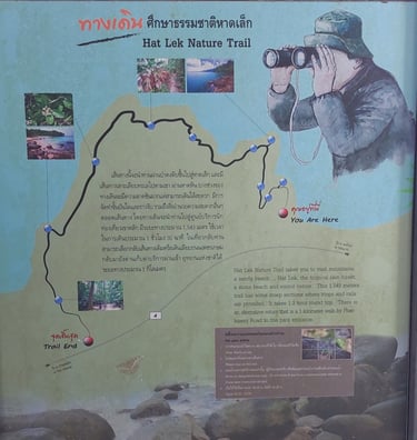 thailand khao lak lam ru national park nature trail