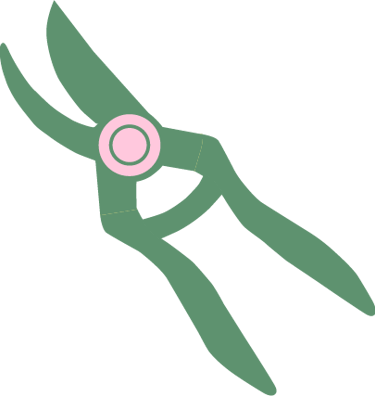 Fleurs Agriculture Biologique