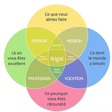 IKIGAI, formation, bilan de compétences, conversion professionnelle, CPF, Qualipoi, carrière, aide