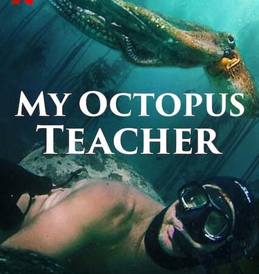 /my-octopus-teacher
