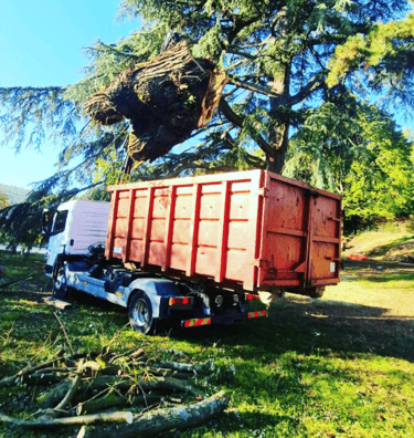 Chantier d'élagage, et plus précisément un camion d'élagage