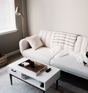 Couch and coffee table