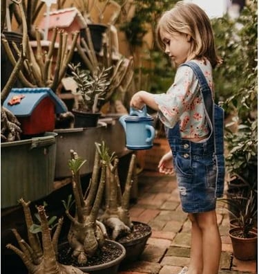 Kids Activity program by TAHK RisingIndia for future of children on Teachers Day once again