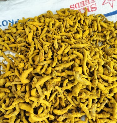 coorg turmeric