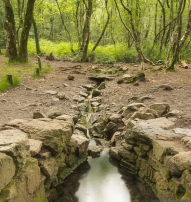la fontaine de barenton foret de broceliande