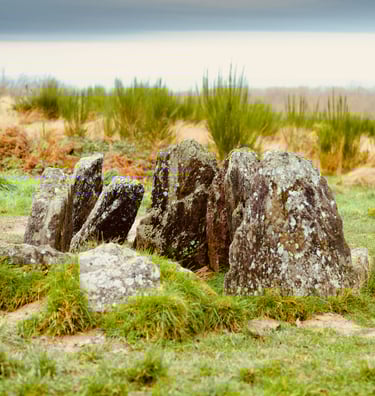 l'hotié de viviane en foret de brocéliande