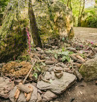 tombeau de merlin foret de broceliande