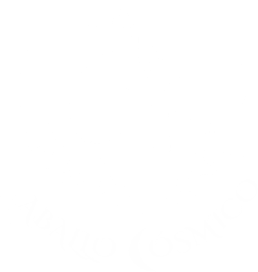 caballo cosmico sanacion energetica