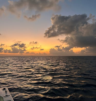 pêche maldives guraidhoo