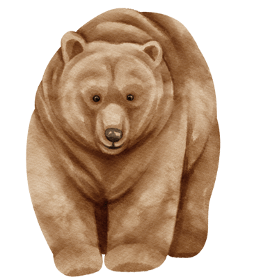 ours brun aquarelle