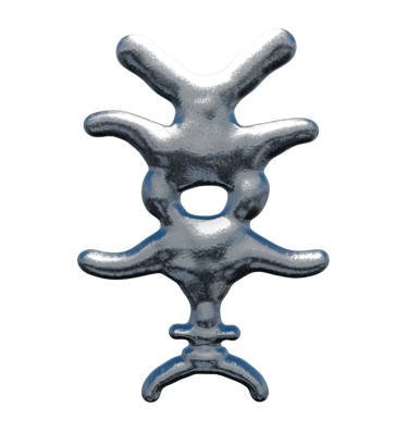 logo zyggyz métallique