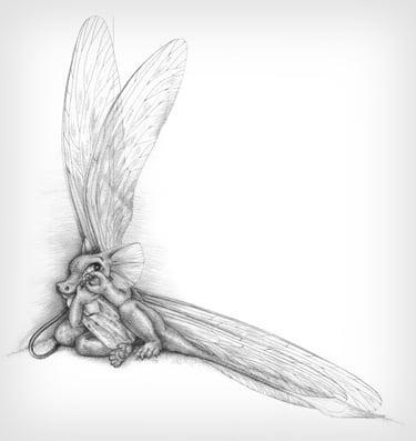 Frightened little bug dragon