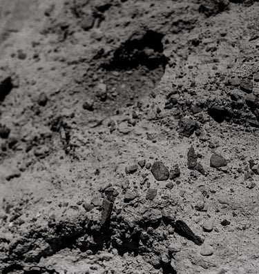 Kiemai.lt žemės darbai