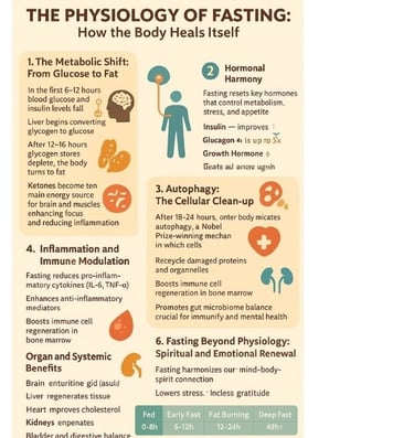 🌙✨ When hunger becomes healing — discover how fasting transforms metabolism, awakens cellular intel