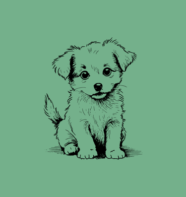 Gentle puppy grooming by EMG Dog Grooming Studio in Amsterdam East.