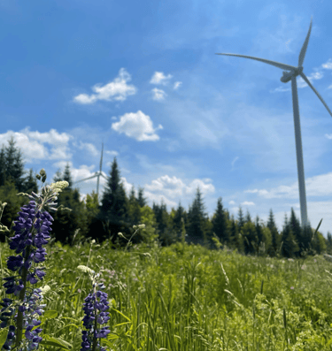 Energy Project Siting | Flycatcher LLC