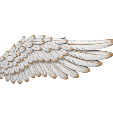 angel wing