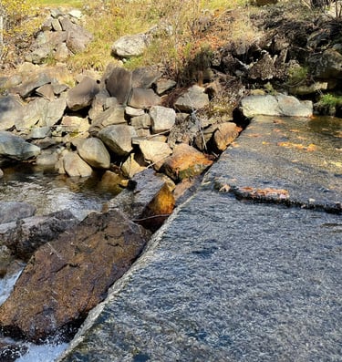 reservoir dam removal