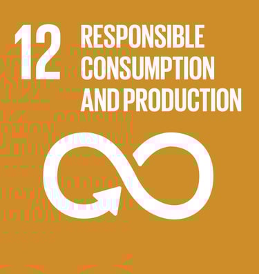 UN SDG 12 - Responsible consumption and production