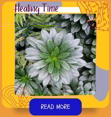 Holistic healing practices time. A nature mandala of a green plant.