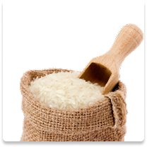 Rice