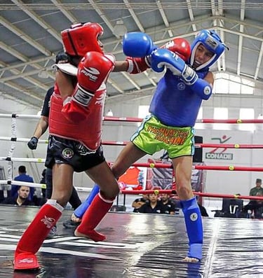 DOJOS.LAT Noticias y actualidad de artes marciales
