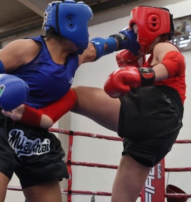 DOJOS.LAT Noticias y actualidad de artes marciales