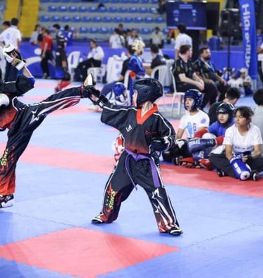 DOJOS.LAT Noticias y actualidad de artes marciales
