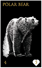 Polar Bear
