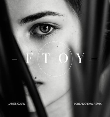 FTOY (Screamo Emo Remix)