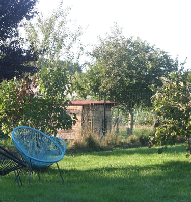 a blue chair in a grassy area with a tree in the background