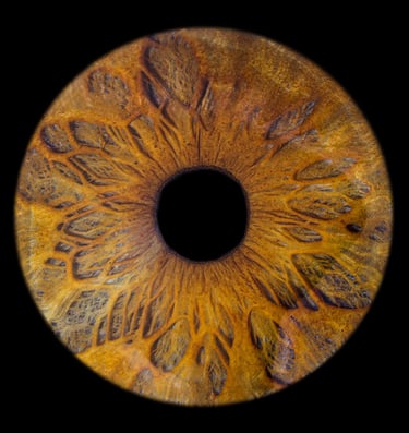 photographie d'iris Bordeaux