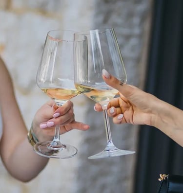 herzegovina-wine-route-fest-mostar-2025