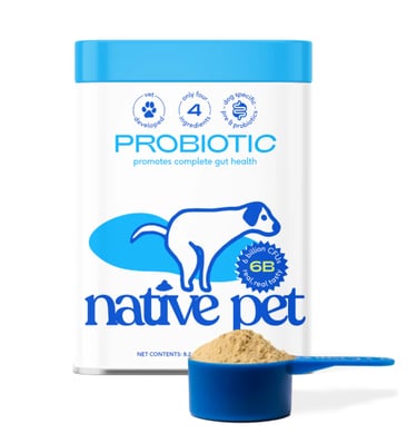 Native Pet Probiotic Powder for dogs on a white background, clean label supplement.
