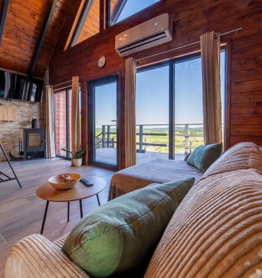 a living room with a couch and a television