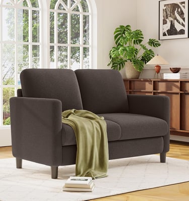 Small Loveseat Sofa