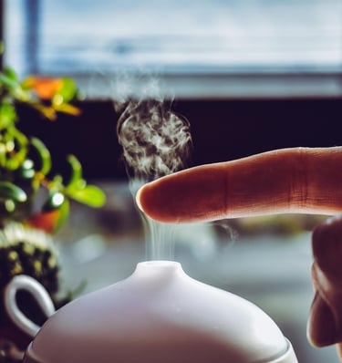 Humidifier next to indoor plants