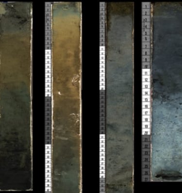 Learn about our Discoveries