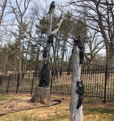 bears owl oak tree carving art