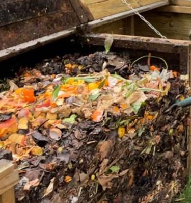 intérieur bac d'apport du composteur plein