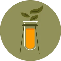 Bioactive compounds extracted from Sea Buckthorn