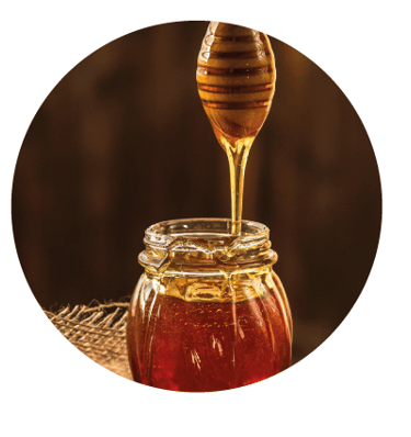 Bouche Cognac VS (Roue des arômes)