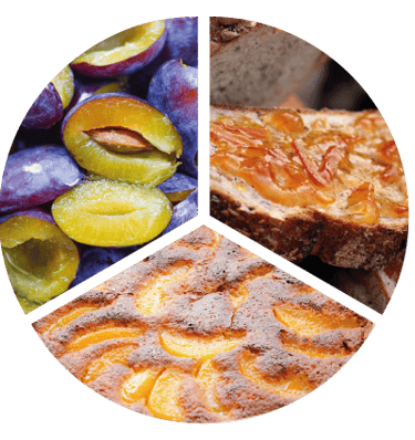 Bouche Cognac XO (Roue des arômes) 