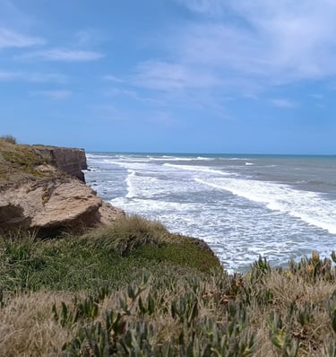 Tiny House junto al mar