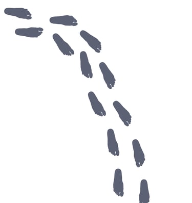 Gray trail of bare footprints walking across a white background in an unsteady pattern