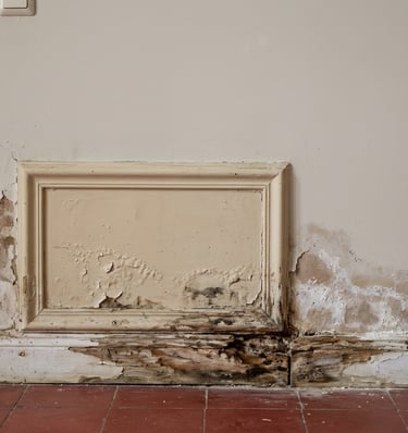 Deterioro de zócalo, rodapié y yeso por humedad por capilaridad