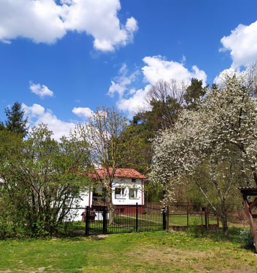 A house with a red roof and a white walls in spring