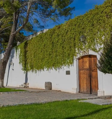 tours viñedos en parras coahuila